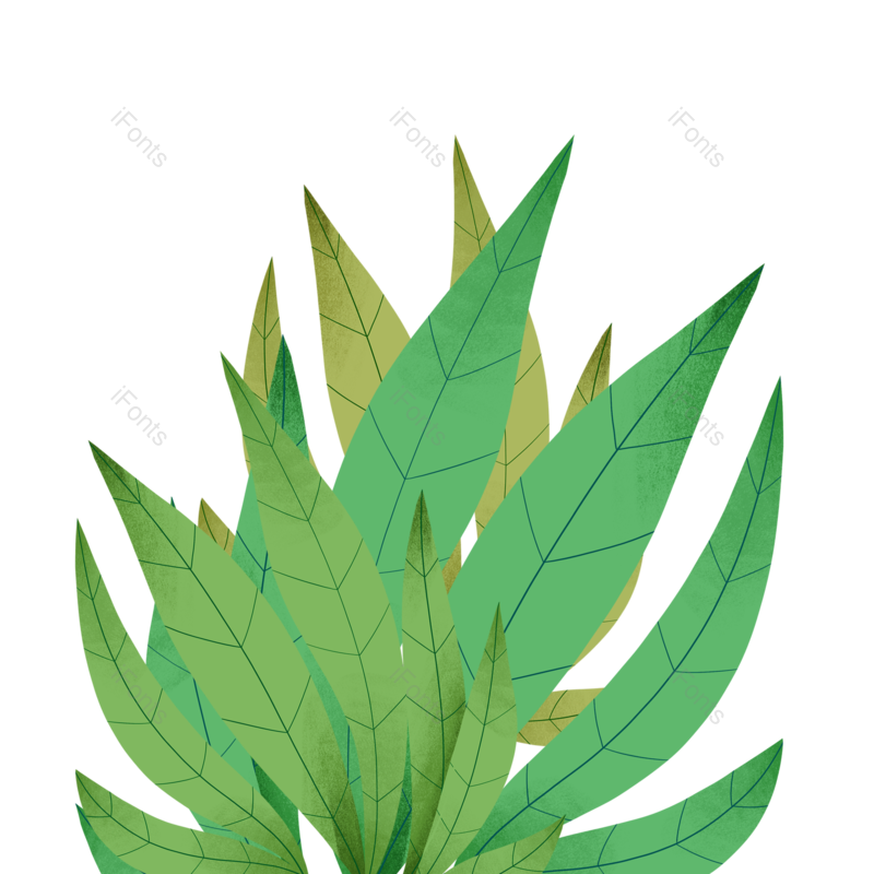 叶子图片,夏天元素,卡通绿色PNG,植物素材免抠素材